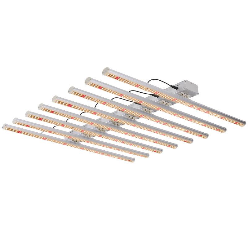 Tror du, at led-dyrkningslys er bedre end natriumlampe til plantedyrkning?